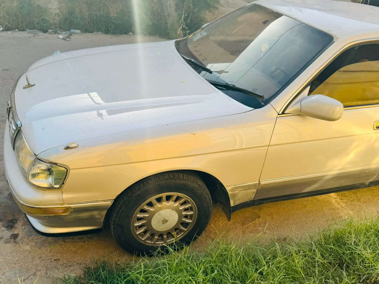بطة متصل ١٩٩٢ رقم بغداد مكفولة ضربه قويه وكص وعيب شرعي وأصوليات السعر ٤٨وبيها مجال عنواني ذي قار قضاء الرفاعي ***********
***********
