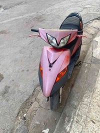 ماكس ثعلب • مزوده • ١١ يوم