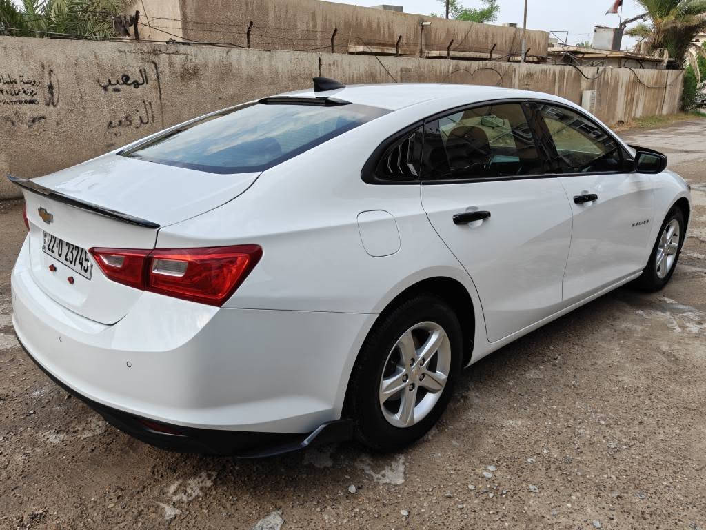 ماليبو LS • ٢٠٢٤ • نص الباب الخلفي