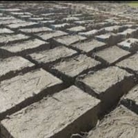لبن طين • نعمانيه • مزارع