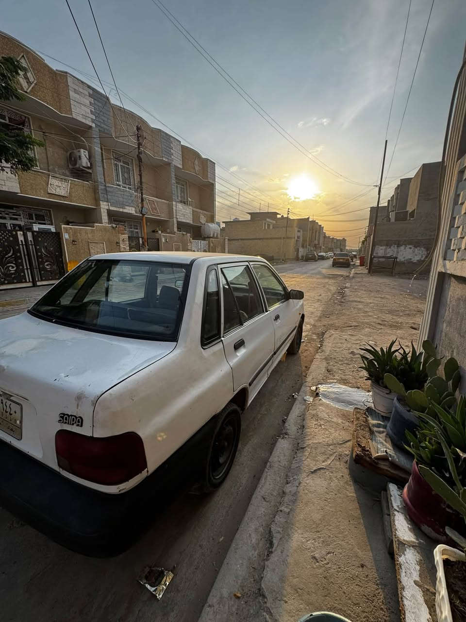 سايبا • ٢٠١٠ • بغداد السريدات