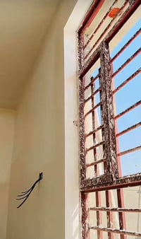 متفرغ • جص وديكور • واجهات