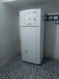 فستل • ٢٨ قدم • نظافة ٩٥٪