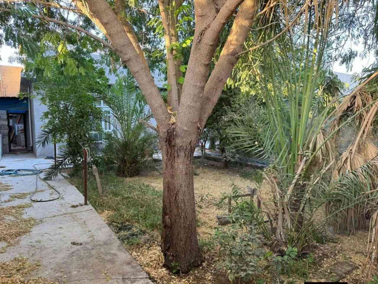 ٤٠٠م • غرفتين • بئر ماء