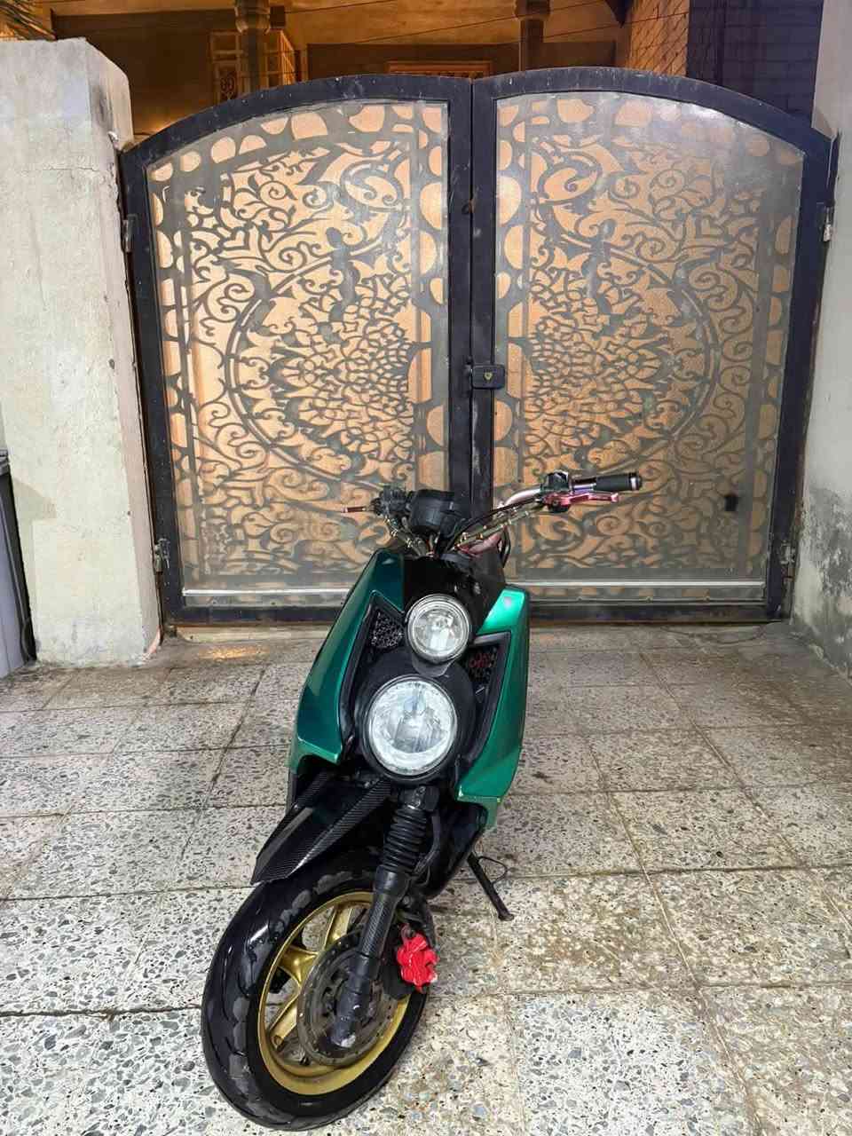 سكنس جبلي • مكفوله • كلجات رياضي