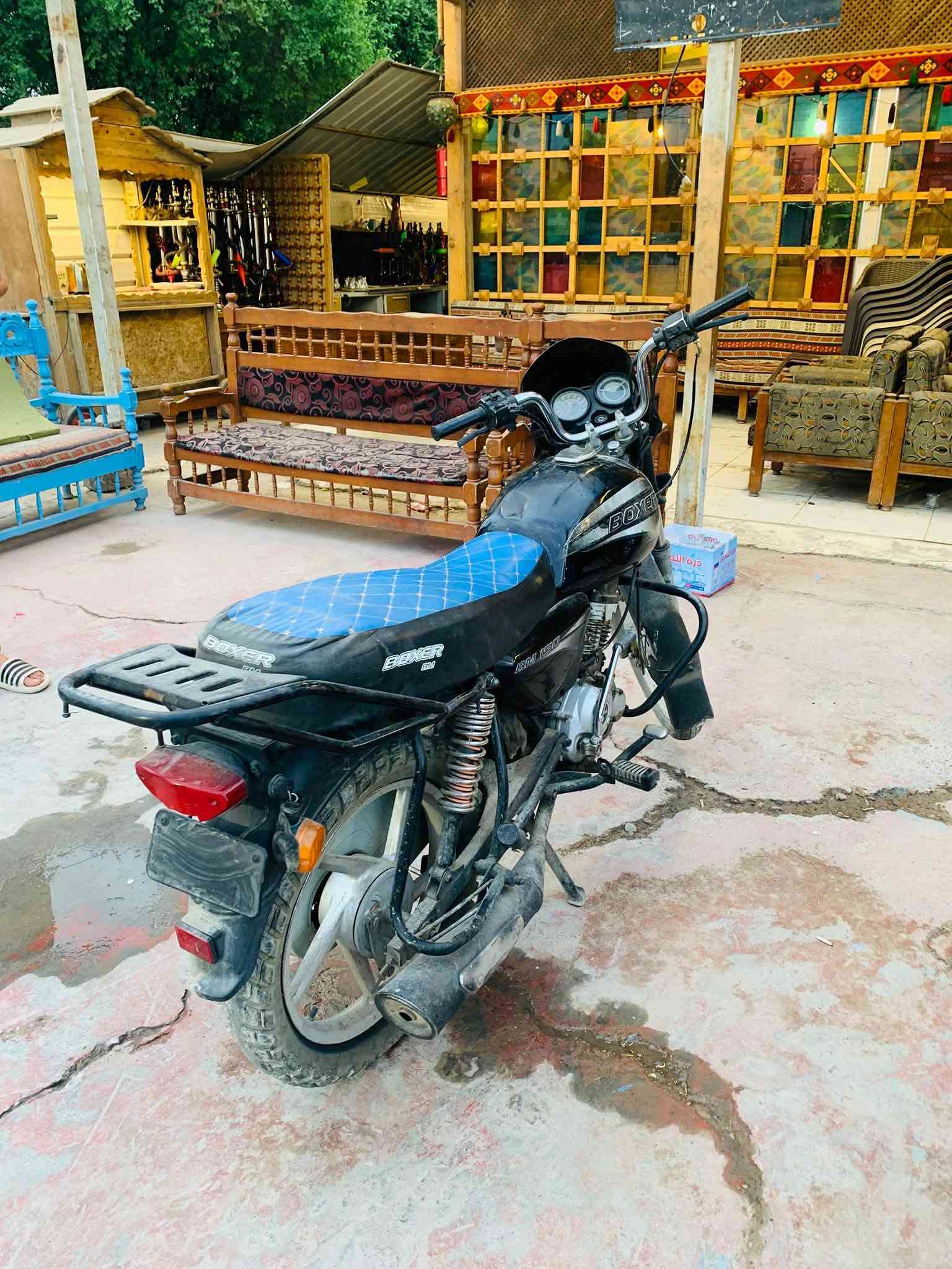 بوكسر • چواكيچ • ٢٠١٩