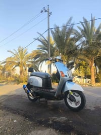 بوليس • الشراي • ٢٠٠٩