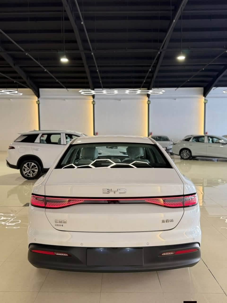 بي واي دي SEL05 • بطارية ١٢٨ • أربيل