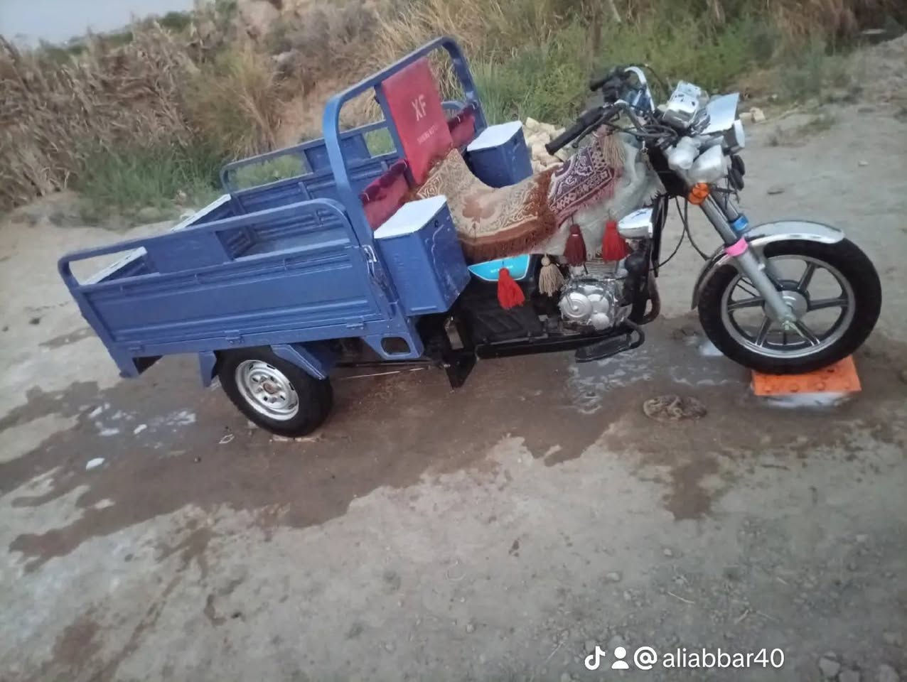 سلام عليكم ستوته البيع موديل 2023 وكيل نبيل جرد وراق صوليه مكفوله كفاله عامه كهربيات شغاله سعر 2450بيه مجال قليل وشراي يتصل عل رقم *********** مكان دوانيه قضاء دغاره
