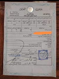 قطعه أرض نواب ضباط مساحه ٢٥٠ ابيع منهه نص ١٢٥متر علئ شارع ٣٠ رقم القطع...