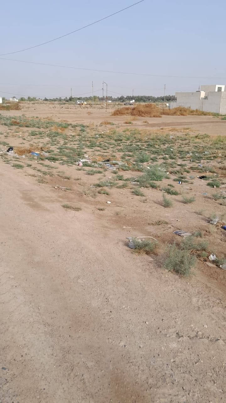 طابو زراعي • ١٠ دونم • اليوسفيه