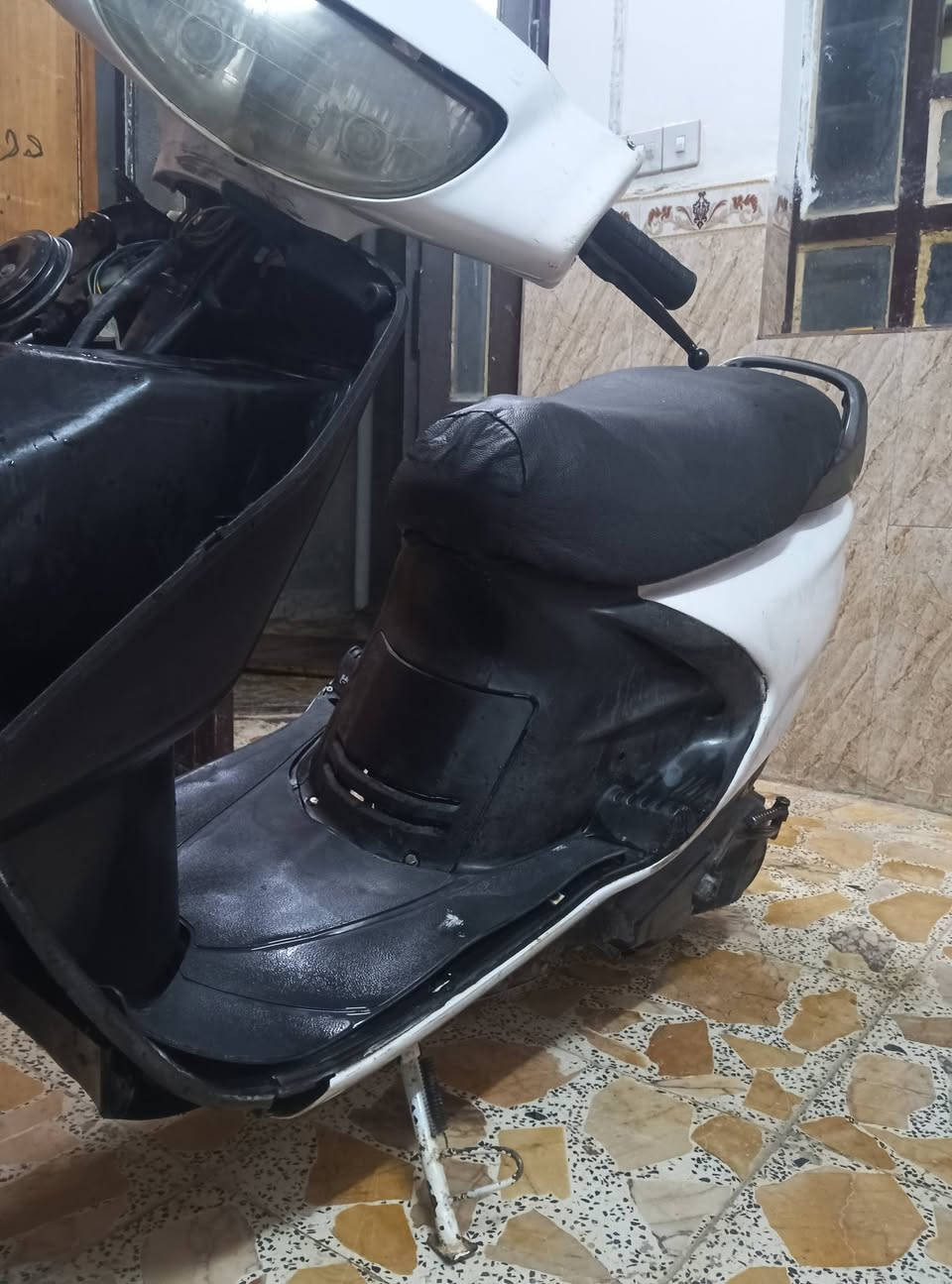 فراشة • نجف • تجفيت