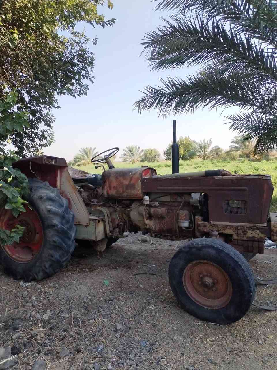 سلام عليكم عنتر للبيع سنوية ورقام بدون تحويل ***********
***********
