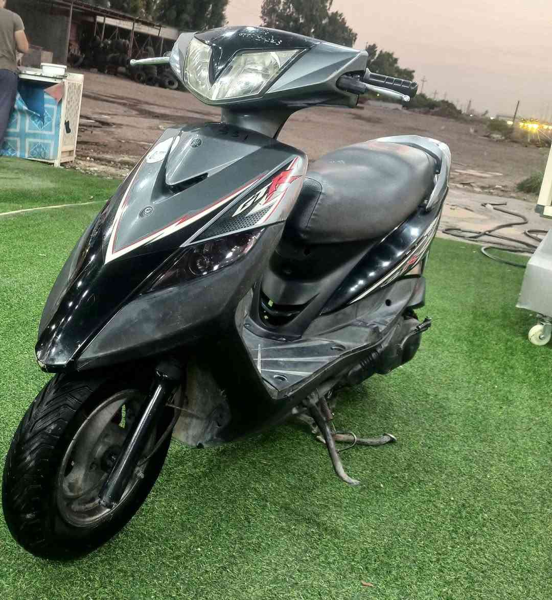 ثعلب • وكاله • اوارق كامله