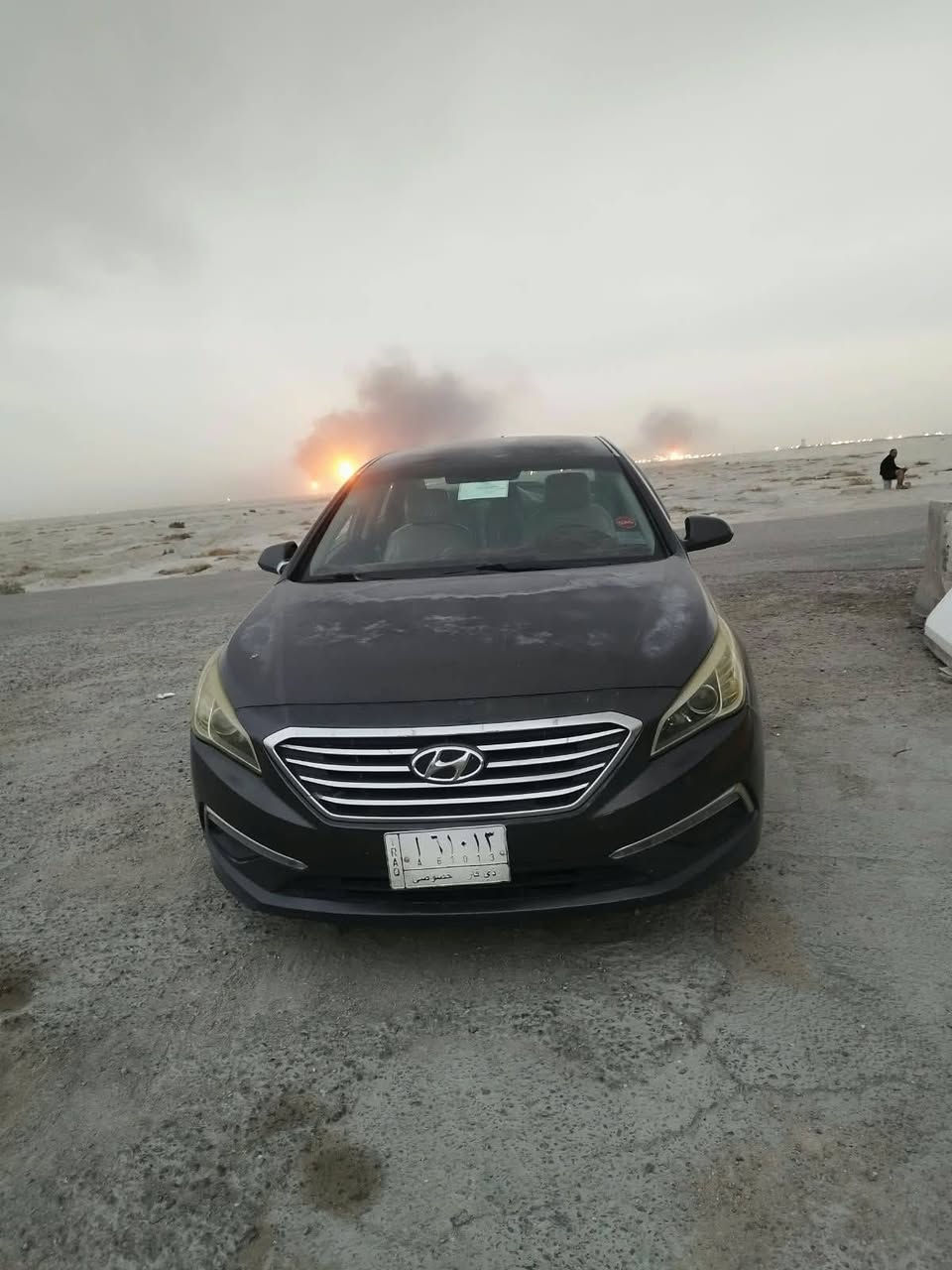 سوناته • ٢٠١٥ • وارد امريكي