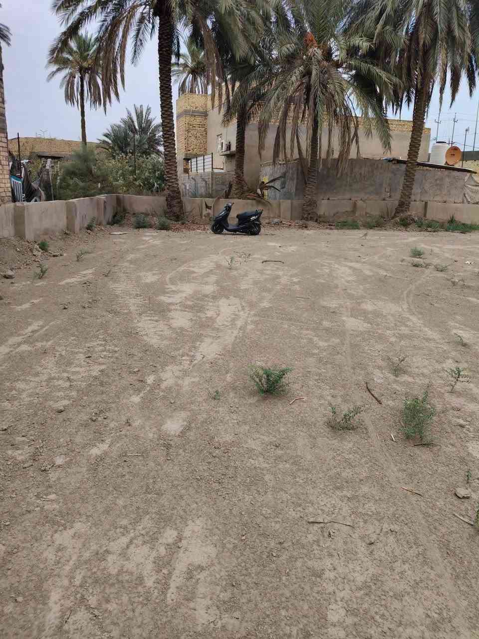 مطاعم الجمجمه • ٩٠٠م • طابو زراعي