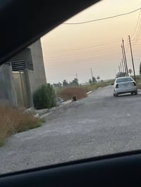 الدوره هورجب • ١٥٠م • خدمات كامله