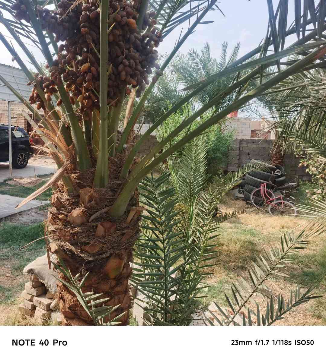 ٦ بيوت • أرض ومعاهن • قرب المطار