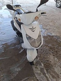 سكنس فحل • ياباني • نفخ
