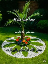تتوفر شقه ارضيه مساحتها ١٨٠مكان الشقه الغزاليه شارع المركز خلف مركز ال...