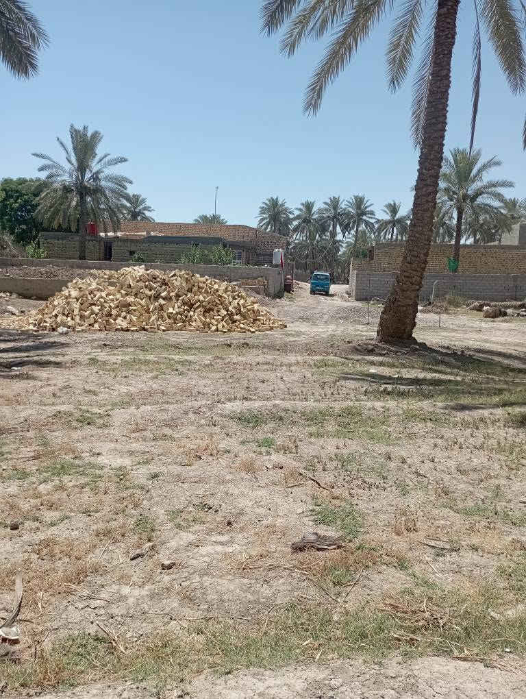 سلام عليكم قطعه ارض مساحتها 870متر ملك صرف زراعي حق التصرف موقع مميز قرب أثار بابل حي المرتضى شار الصيدلي سعر 75مليون كافت الخدمات متوفره يتوفر قطع اراضي للبيع الي يحب يتواصل رقم الهاتف وتساب *********** حلة, بابل
