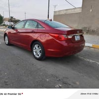 سوناته ٢٠١٣ • وارد أمريكي • واسط