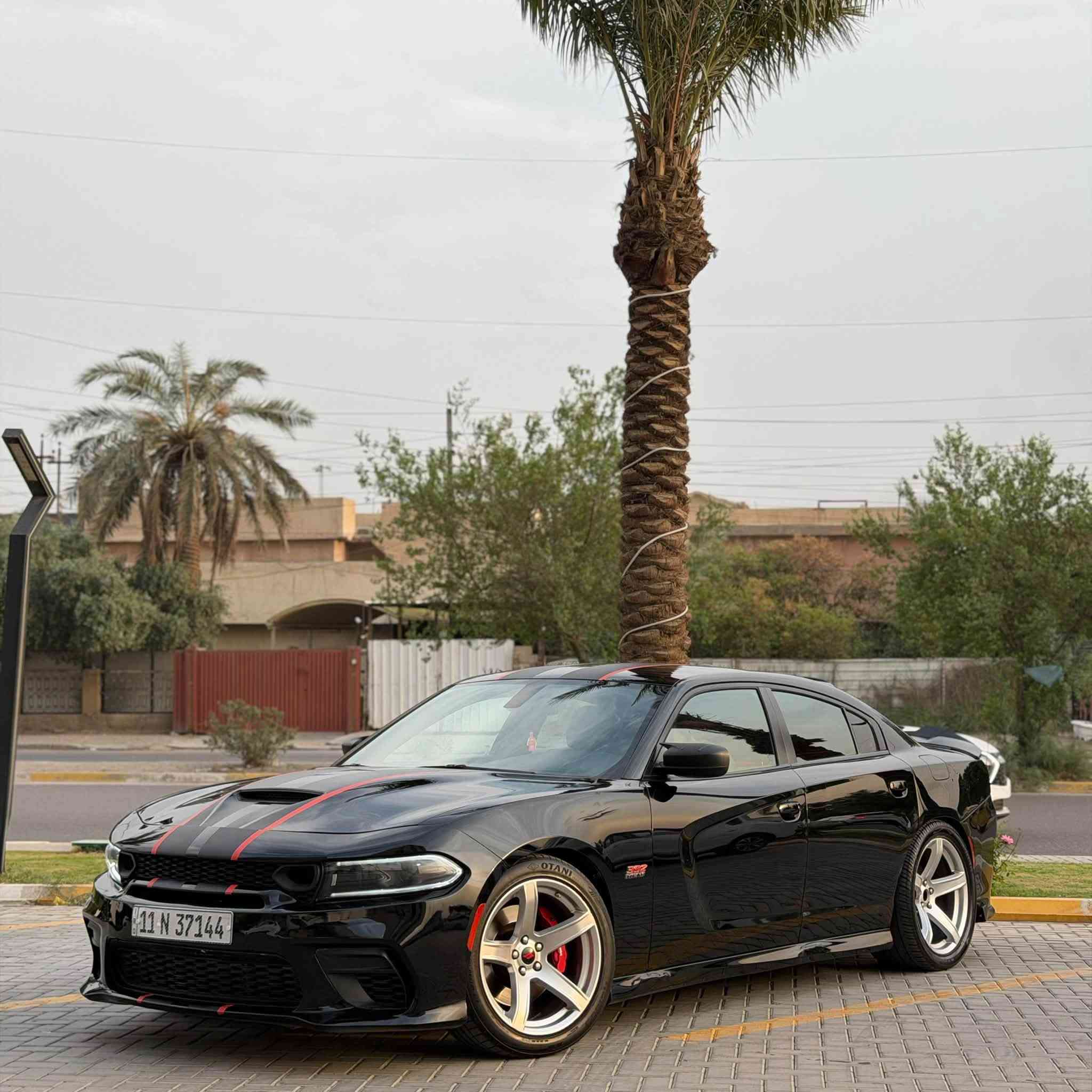 سكات باك • V8 ٦٤٠٠ • رقم بغداد