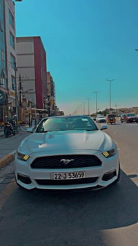 موستنك 2015 فول موصفات رقم أربيل ابسمي سيارة اعلة فئا بل موستنك 6 سلند...