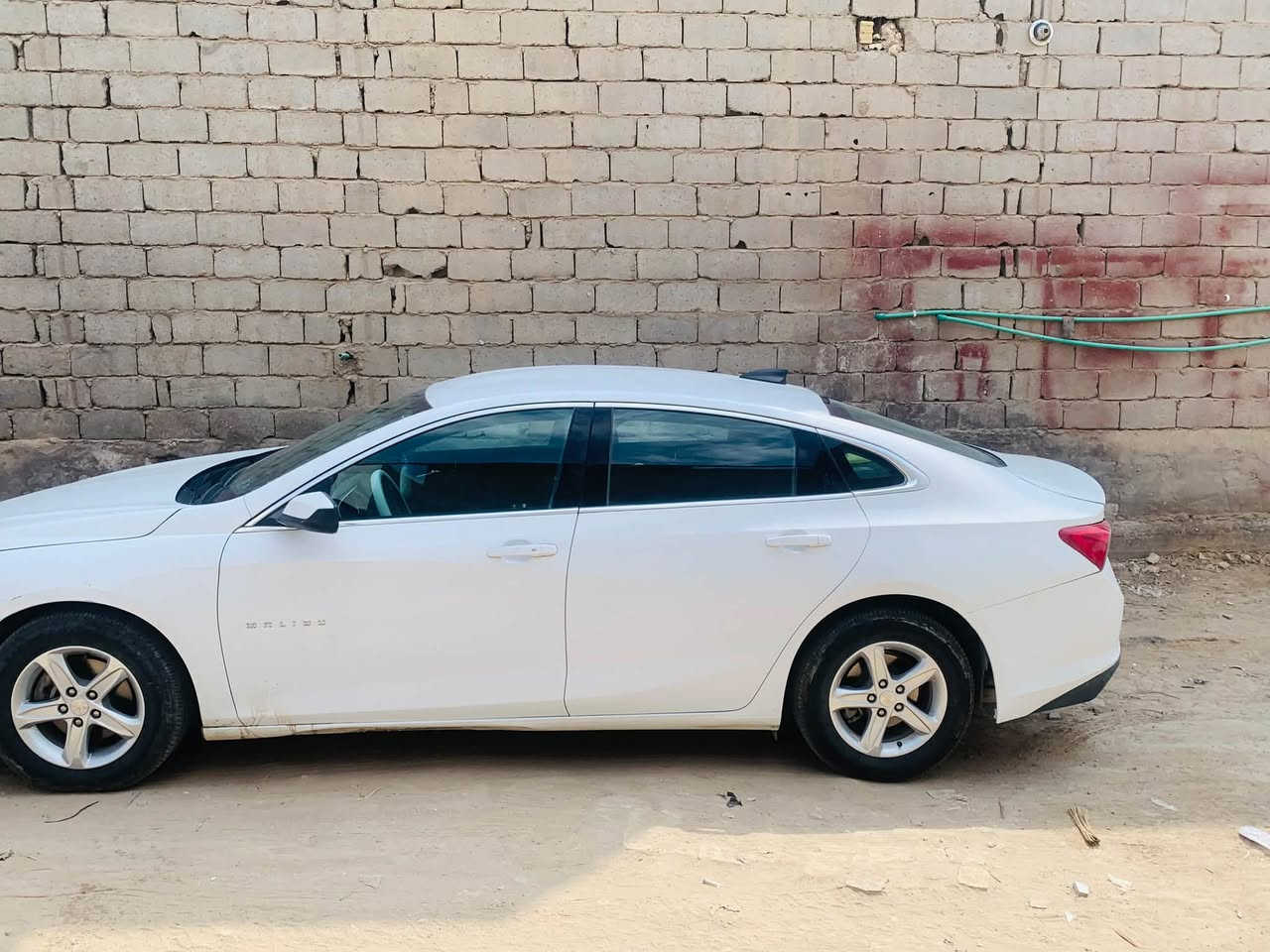 شوفرليت ماليبو 𝟐024 𝐂𝐇𝐄𝐕𝐑𝐎𝐋𝐄𝐓 𝐌𝐀𝐋𝐈𝐁𝐔-𝐋𝐓
حادثه بنيد مبدل والجنطه 

شوفرليت ماليبو (LT) موديل. 2024

السعر 105 وبيها مجال

شراي يتصل ‏‪***********

رقم بابل شهداء وكاله اسويلك بيه

عداد المسافة : الف 10الاف

حجم المحرك : 1.5L TURBO( 4,سلندر )

  

المواصفات : LT

فول فول مواصفات عده الفتحه

بصمة ابـــواب

بصمة تشـــغيل

تشغيل عن بعد (𝐑𝐄𝐌𝐎𝐓𝐄 𝐒𝐓𝐀𝐑𝐓)

شـــاشـــة ايباد لمـــس

هـــانـــد بـــريـــك بصمة

اوتو هولد (𝐀𝐔𝐓𝐎 𝐇𝐎𝐋𝐃)

اوتو ستارات (𝐀𝐔𝐓𝐎 𝐒𝐓𝐀𝐑𝐃)

اوتو ستوب (𝐀𝐔𝐓𝐎 𝐒𝐓𝐎𝐏)

رادار امامي )

رادار خلفي (التحذير من الاصطدام)

نظام (𝐄𝐂𝐎)

نظام (𝐍𝐎𝐑𝐌𝐀𝐋)

نظام (𝐒𝐏𝐎𝐑𝐓)

تحكمات استير

كشنات كهربائي

لايتات 𝐋𝐄𝐃 ليد بيلادي

بكلايتات 𝐋𝐄𝐃 ليد بيلادي

ويــــل كــــروم

