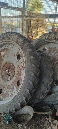 لا توجد تفاصيل