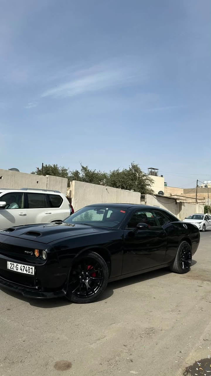 جالنجر • ٢٠١٦ • للبيع