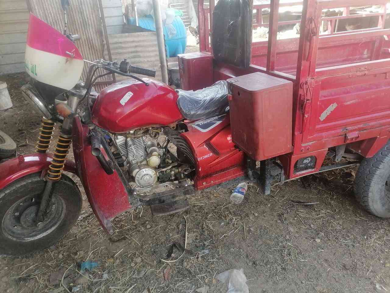 ستوته • ٢٠٢٥ • اصوليه