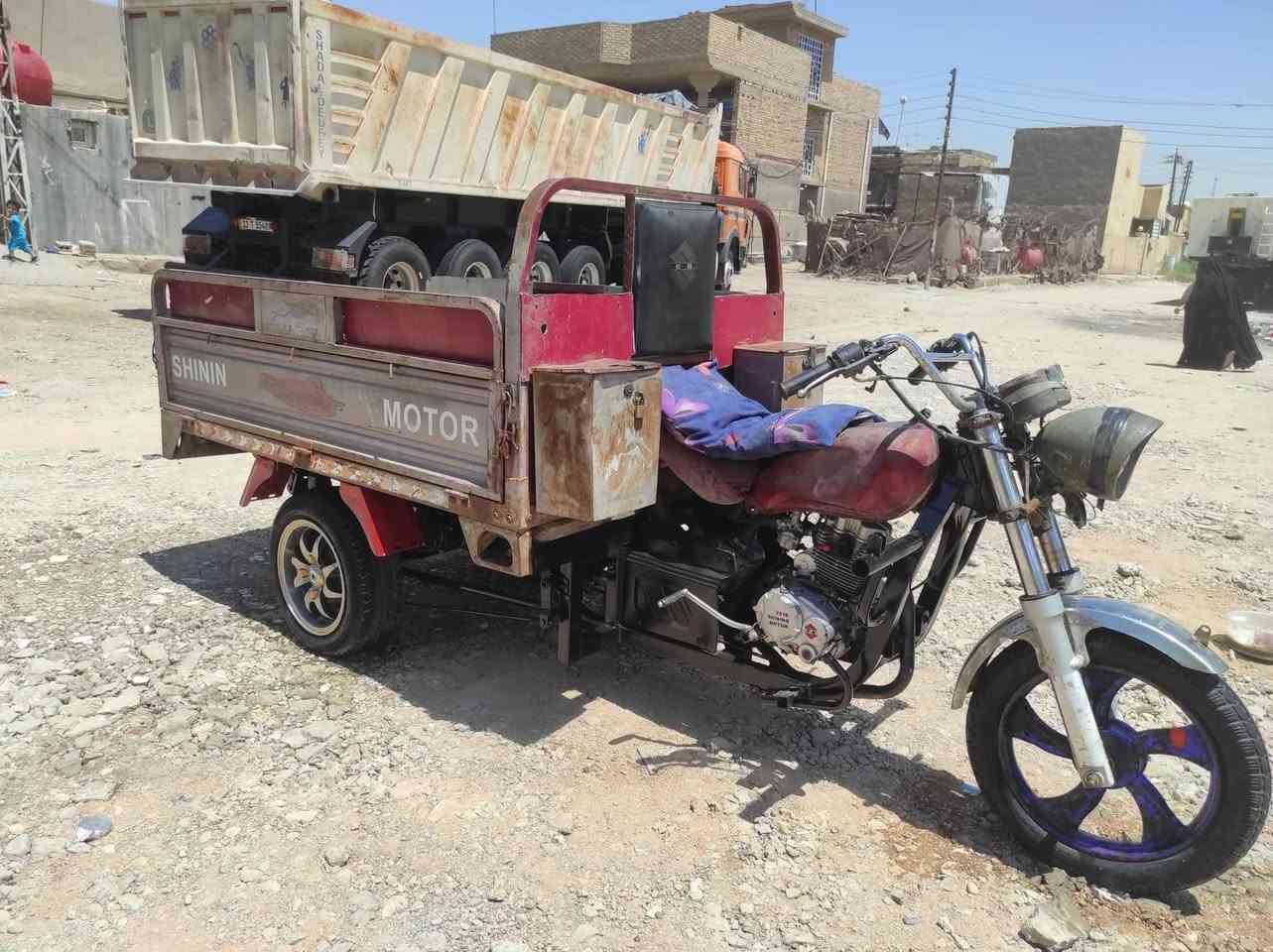 ستوته صقر • بدون اوراق • مكفوله