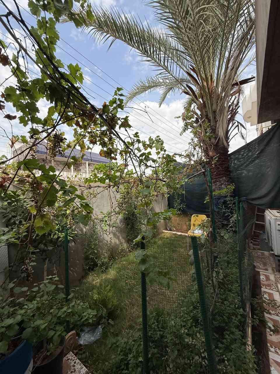 بيت طابو صرف ٢٠٠م 
طابقين 
الطابق الاول ( غرفتين نوم ) و (صحيات سيرامك) و(هول داخلي بي درج ومنور) (مطبخ )و ( هول ثاني )و ( استقبال كبير) و( كراج سيراميك) و( حديقة ) و( صحيات خارجية) 

الطابق الثاني
( غرفتين نوم ) و ( صحيات) 

علما انه المنزل قريب على المدارس الابتدائية و الثانوية وشارع تبليط كامل و منطقة نظيفة جدا قريبة على المواصلات 

سعر المنزل ١٥٥ مليون و بي مجال العنوان حي النداء قرب اسواق ماجد ***********
