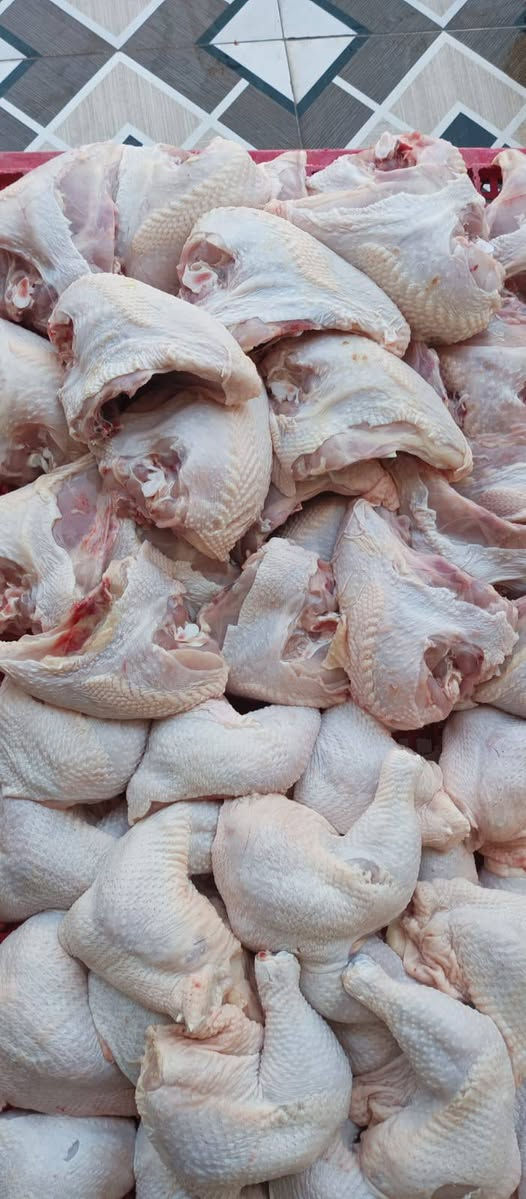 دجاج • ذبح اليوم • درجة اولى
