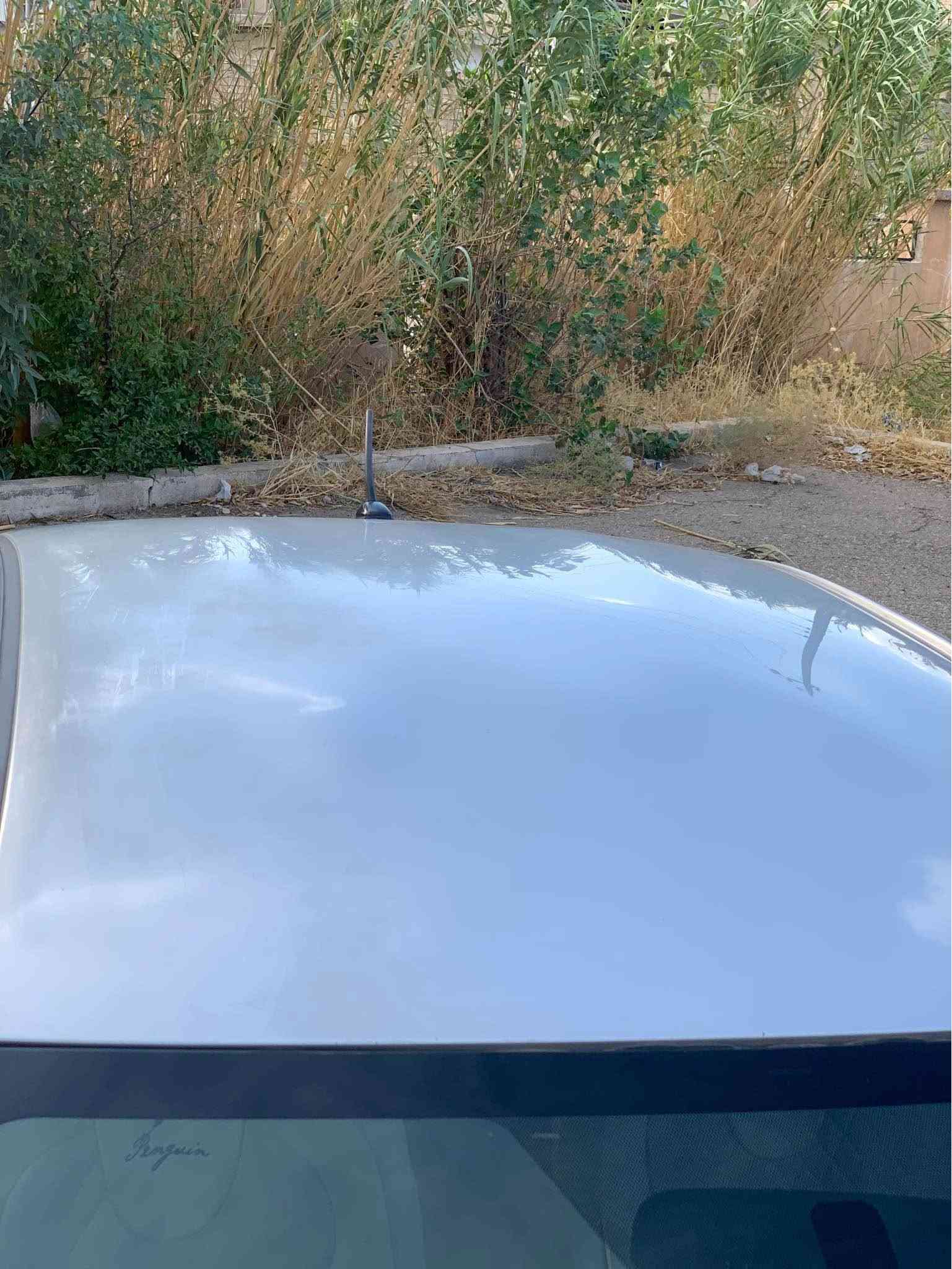 یارس خلیجی ٢٠١٧
بئ بۆیاغ
کەمیک کالبونەوەی هەیە
سەنەوی بەسەر چوە
گیرومەکینە بەشەرت
سعری ٩٤مەجالیک
شوێن کۆیە 
***********
*********** كويسينجاك, أربيل
