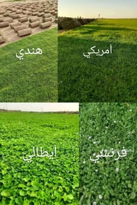 ديكور • إيطالي • فرنسي