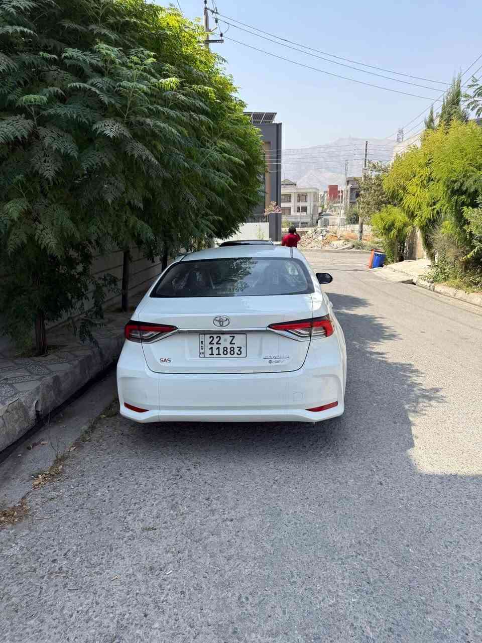 فولی هایبریدە هەندیک پیدی ئاری هەیە ١٨ هەزار رۆیشتیە بی سبوخە بی تەزرەشە *********** سوران, أربيل
