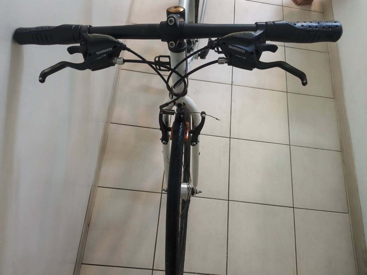 سلام عليكم شباب باسكل هجين البيع
🔴سريع و خفيخ بل سياقه
🔴700 البيعc🚲
🔴ألباسكل نضيف جدأ
🔴اي عطل ما بي
🔴شيمانو أصلي 
🔴جاهز الترحال 
🔴7نمر خلفس
🔴3 امامي
🔴ما امبدل بي إشي شي
🔴ألباسكل غالي عليه جديد باله 
🔴العنوان بغداد بسمايه 
🔴عذرن على جماعت المراوس
🔴رقم ***********
🔴سعر الباسكل : 150 بي مجال بسيط حك الجيه 💵
