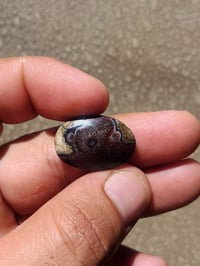 داوديه يمانيه • تحفة