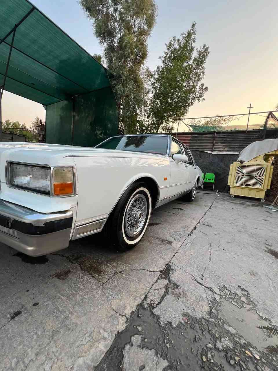 سلام عليكم كابرس LS رقم بغداد نكليزي باسمي موديل 1989 اصل
سياره متعوب عليه وبس جناي يعرف قيمته 
مكينه بلادي ٨ سلندر ٣٠٥ كير ٧٠٠ شعله ومعدل شك كاع    تبريد ثلج عليه كبريسر ياباني وغاز فرنسي قمارن هسه مشتغليه جديده محرك لا صرف ولا بخار 
فيتبم ودووش جدد داينمو رياضي بيه باتري جديد 

تخم تاير صالي  شهر من شديته  مكاني بغداد شعله 
سعر ٥٥ وبيه مجال ***********
