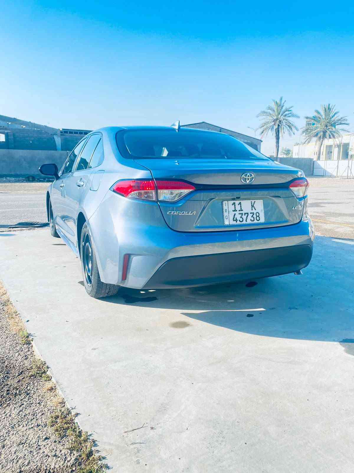 كورلا امريكي • ٢٠٢٥ • رقم بغداد