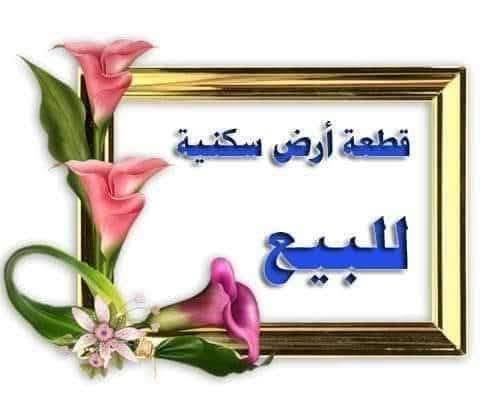 طابو صرف • المدائن سلمان باك • ١٥٠م
