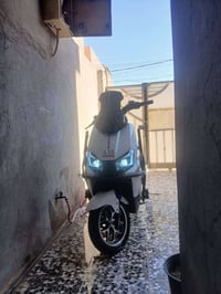 جديدة • مكفولة • بغداد الجديده النواب