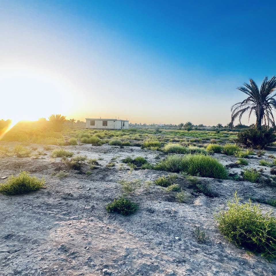 سلام عليكم نص دونم خلف جامعت بابل متوفر كافت الخدمات سند 25 تحويل مباشر بسم المشتري ***********
سعر مناسب جدا
