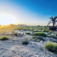 نص دونم • خلف جامعة بابل • سند ٢٥