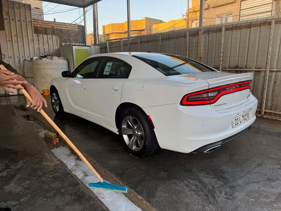 تشارجر SXT • ٢٠١٩ • رقم اربيل