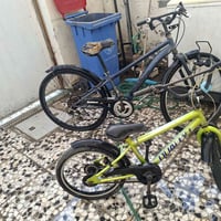 باسكلات يابانية • المشتل • بعقوبة