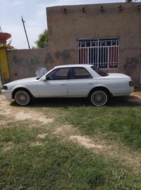كريستا مسطره • مكفوله كفاله • شطره