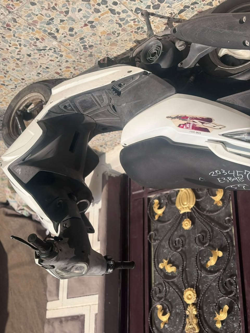 ماكس مضلع • جديدة • بلادية